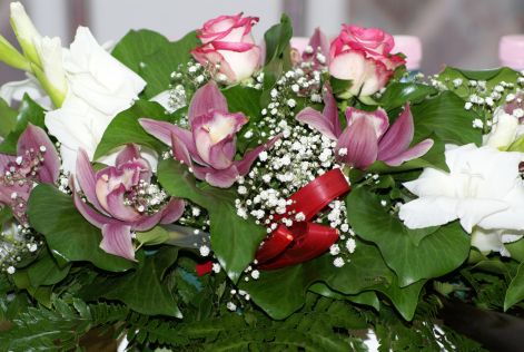misek_viragdsc08785.jpg