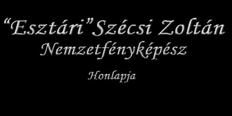 zoli.jpg